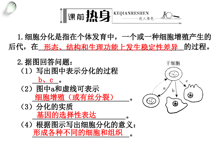 金版方案高考生物一轮复习学案课件第13讲细胞的分化衰老凋亡及癌变_第2页