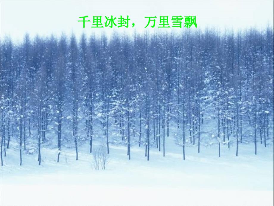 重庆市綦江区九年级语文上册 1沁园雪（选）课件_第3页