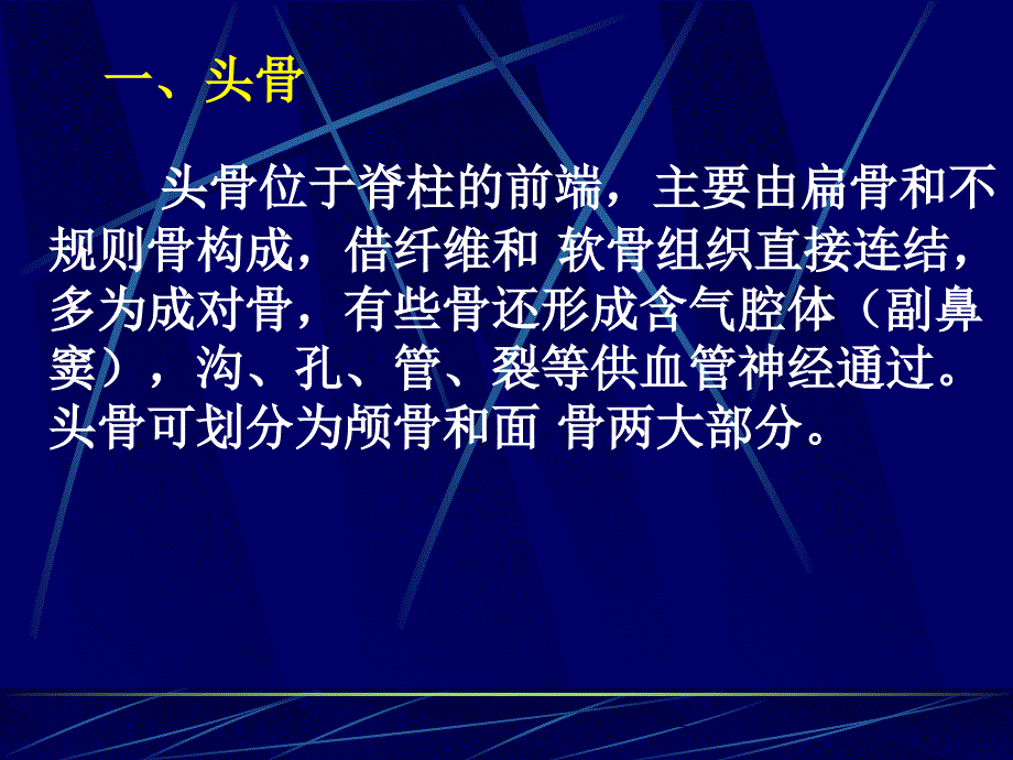 全身骨骼1头部骨骼_第3页