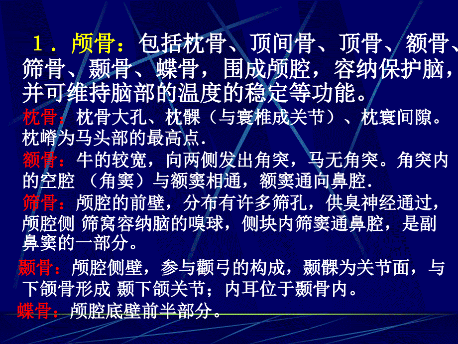 全身骨骼1头部骨骼_第4页