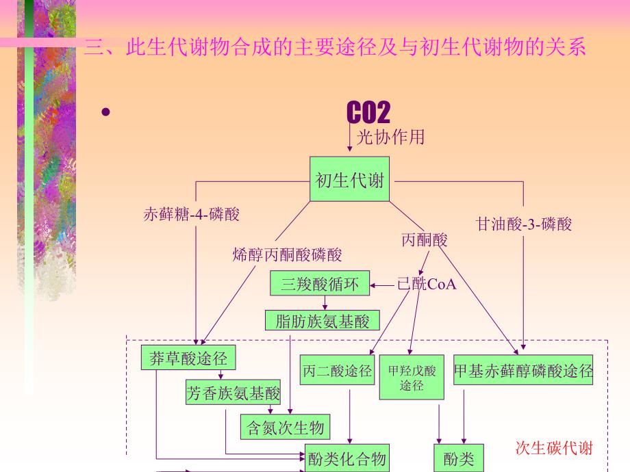 植物体内有机物的代谢ppt课件_第3页