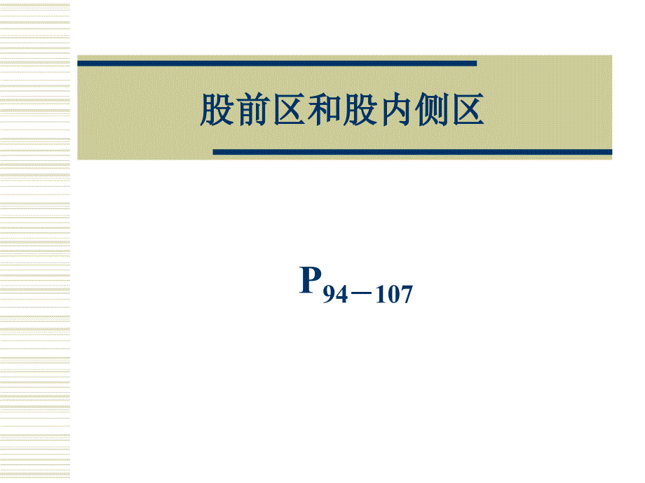 股前区和股内侧区的局部解剖_第1页