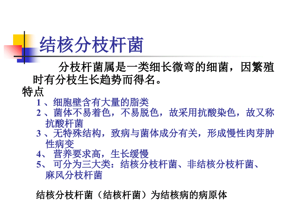 呼吸道感染的细菌PPT课件_第2页