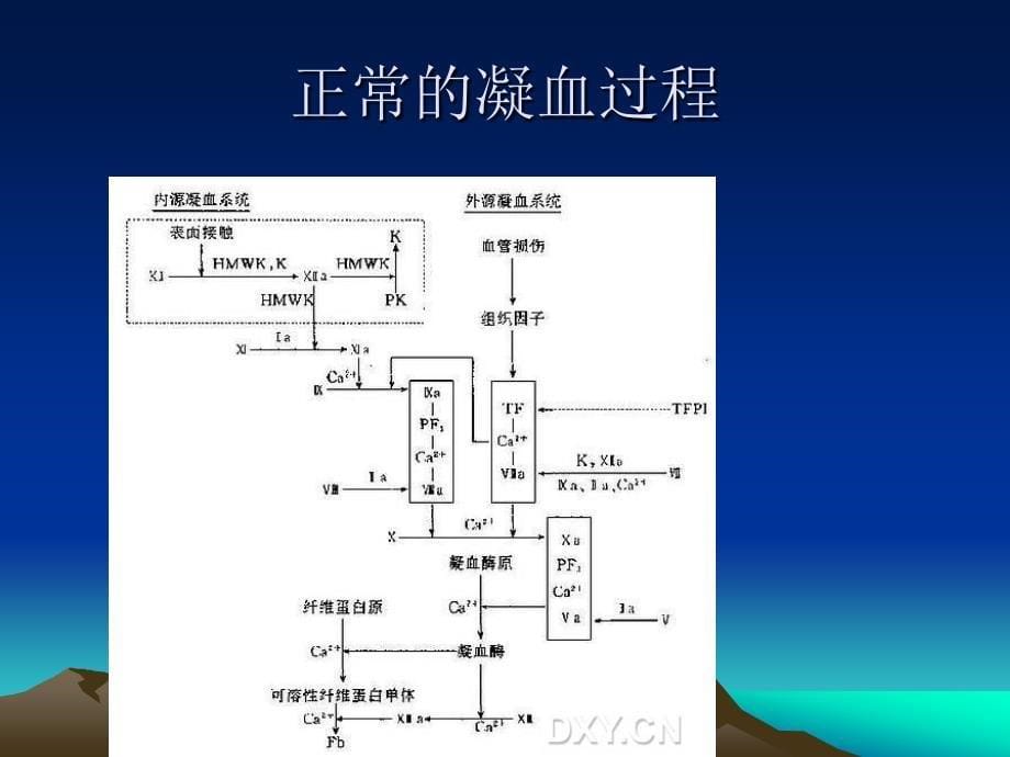 抗凝药物应用与麻醉选择60404课件_第5页