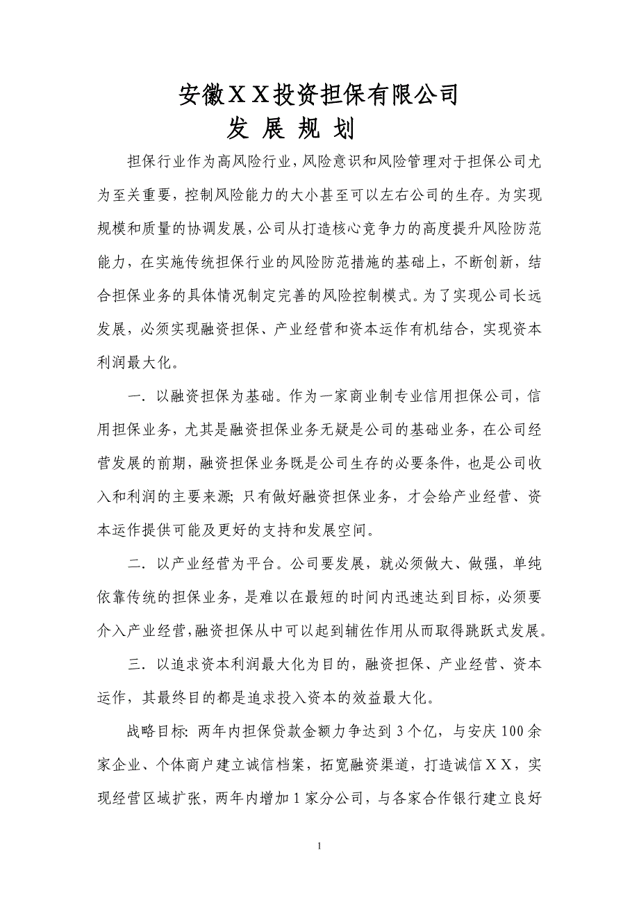 投资担保有限发展规划_第1页