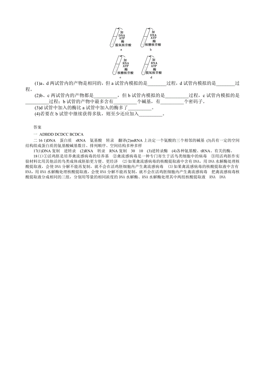 转录翻译试题_第3页