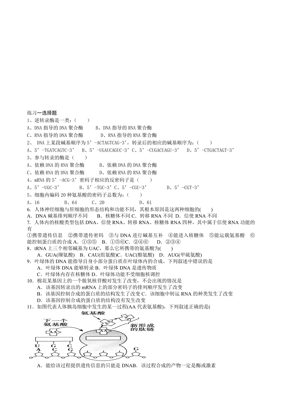 转录翻译试题_第4页