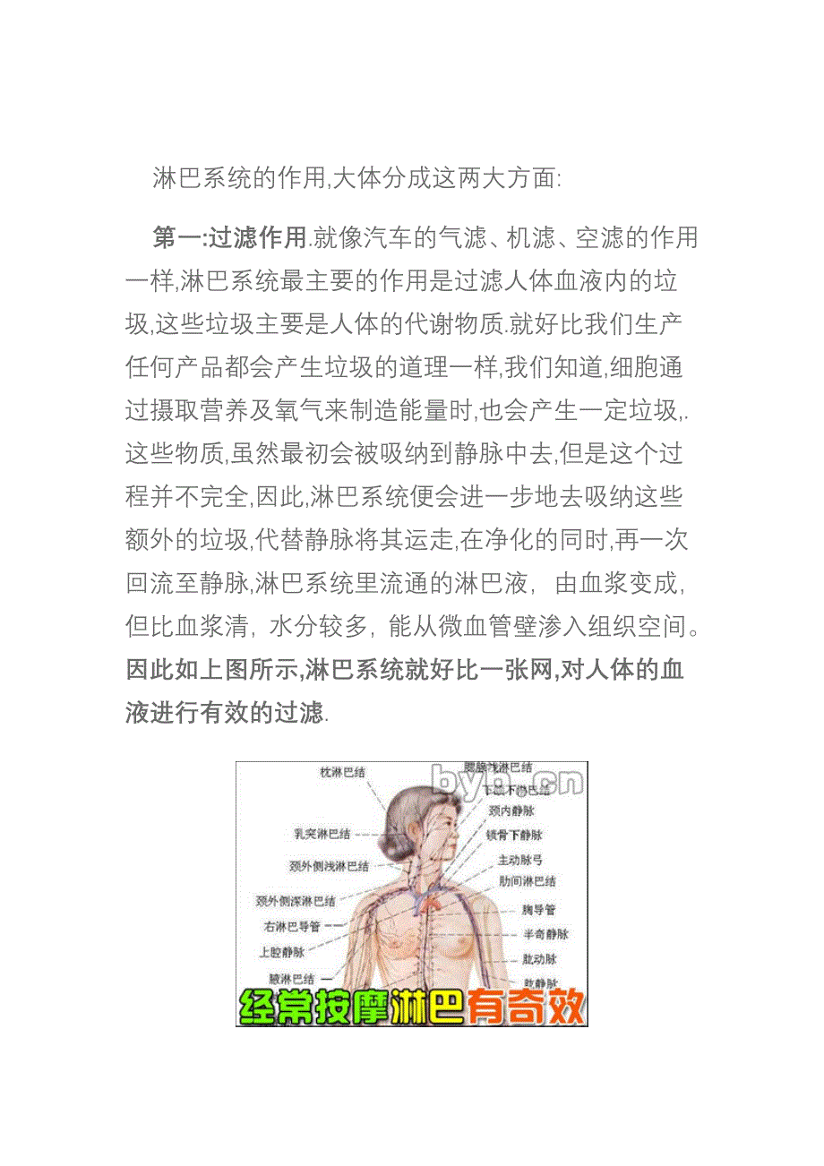 淋巴系统的作用_第3页