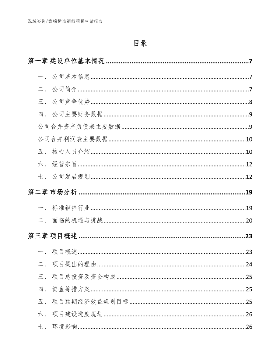 盘锦标准铜箔项目申请报告_模板_第1页