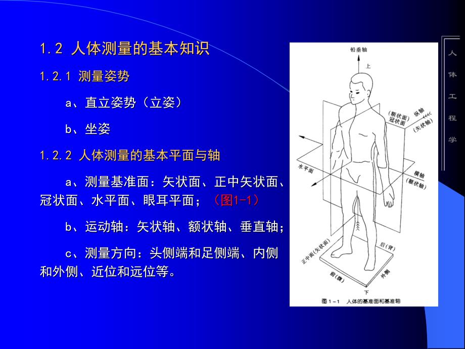 人体工程学3-人体测量_第4页