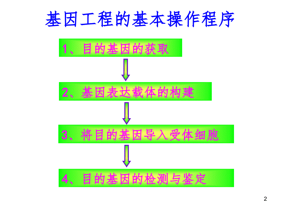 基因工程的基本操作程序四班PPT精选文档_第2页