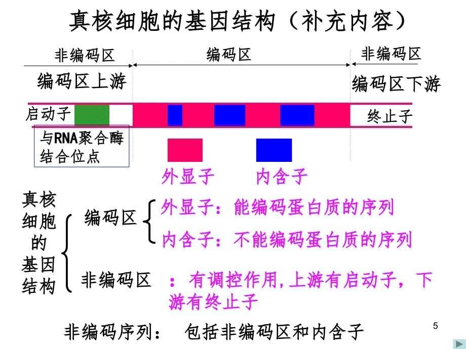 基因工程的基本操作程序四班PPT精选文档_第5页