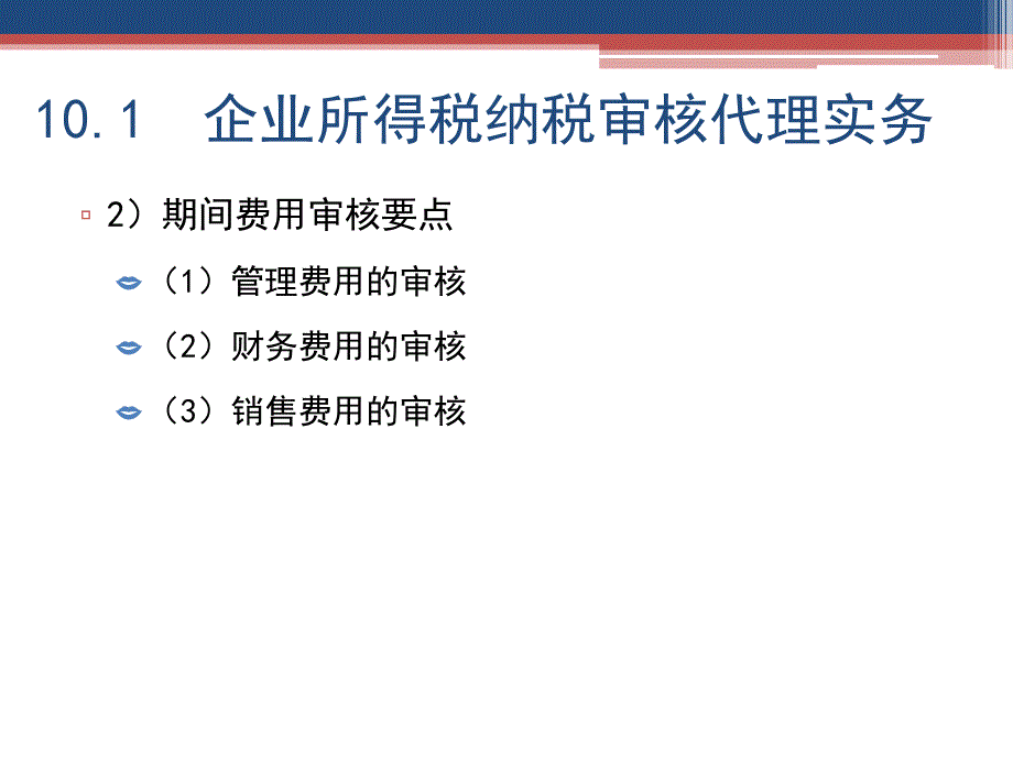 所得税纳税审核代理实务课件_第5页