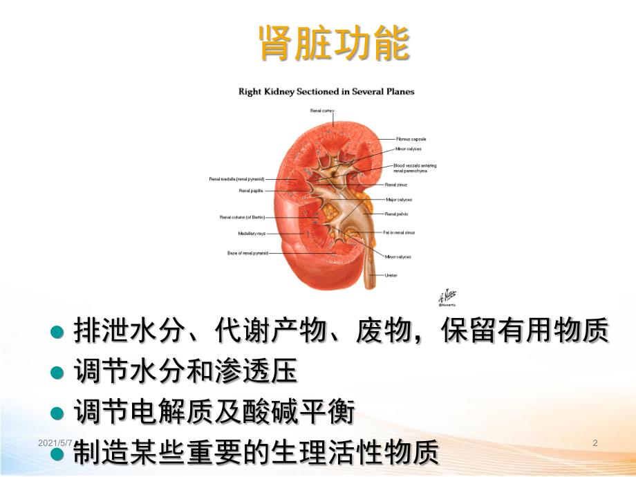 实验诊断学肾脏功能_第2页