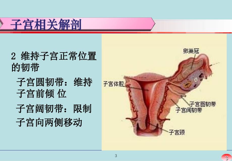 最新：经腹全子宫切除术手术配合文档资料_第3页