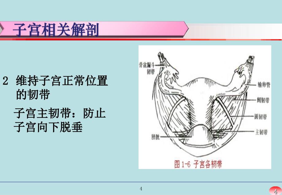 最新：经腹全子宫切除术手术配合文档资料_第4页