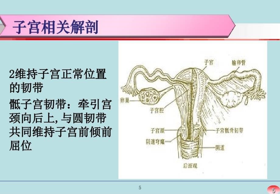 最新：经腹全子宫切除术手术配合文档资料_第5页