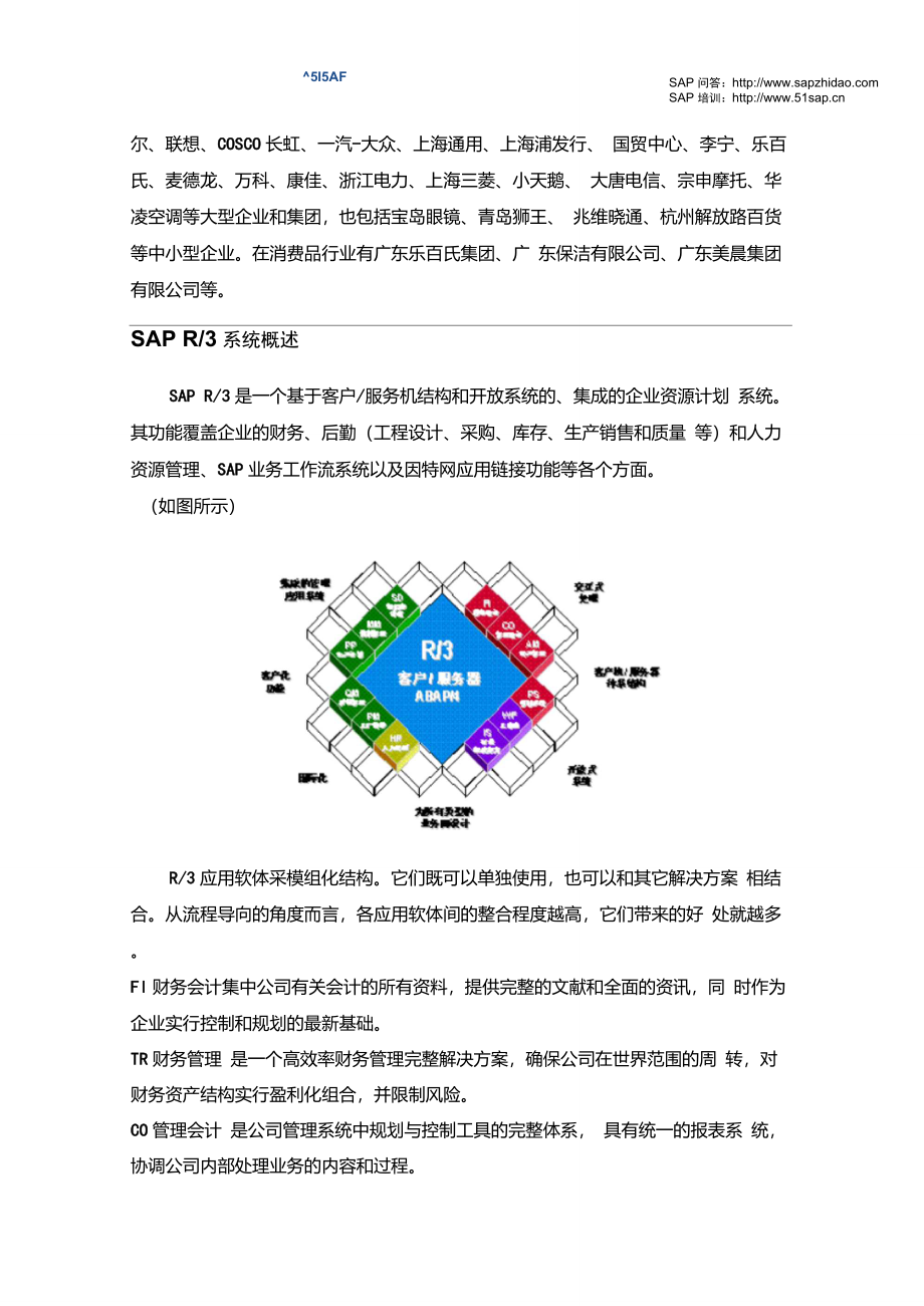 sap全面概述中文90页_第3页