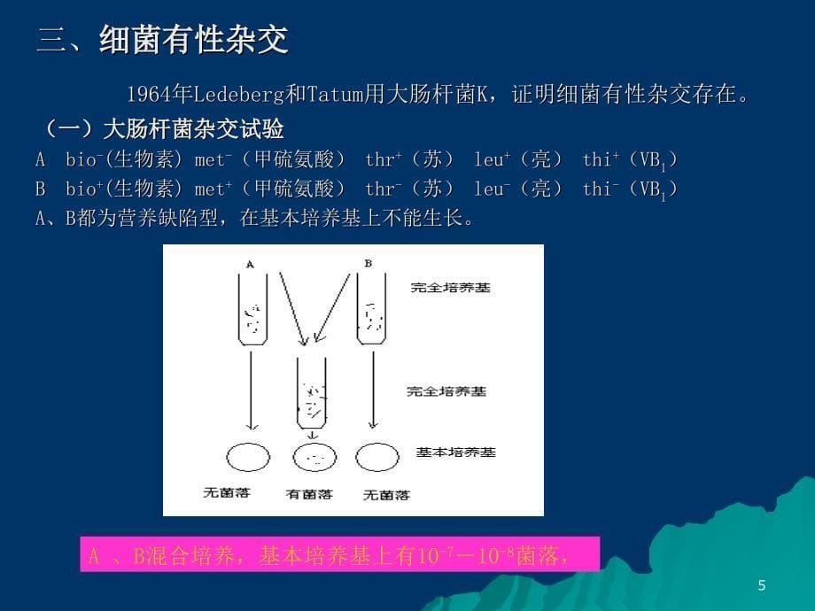 最新第六章细菌和噬菌体的遗传分析PPT文档_第5页