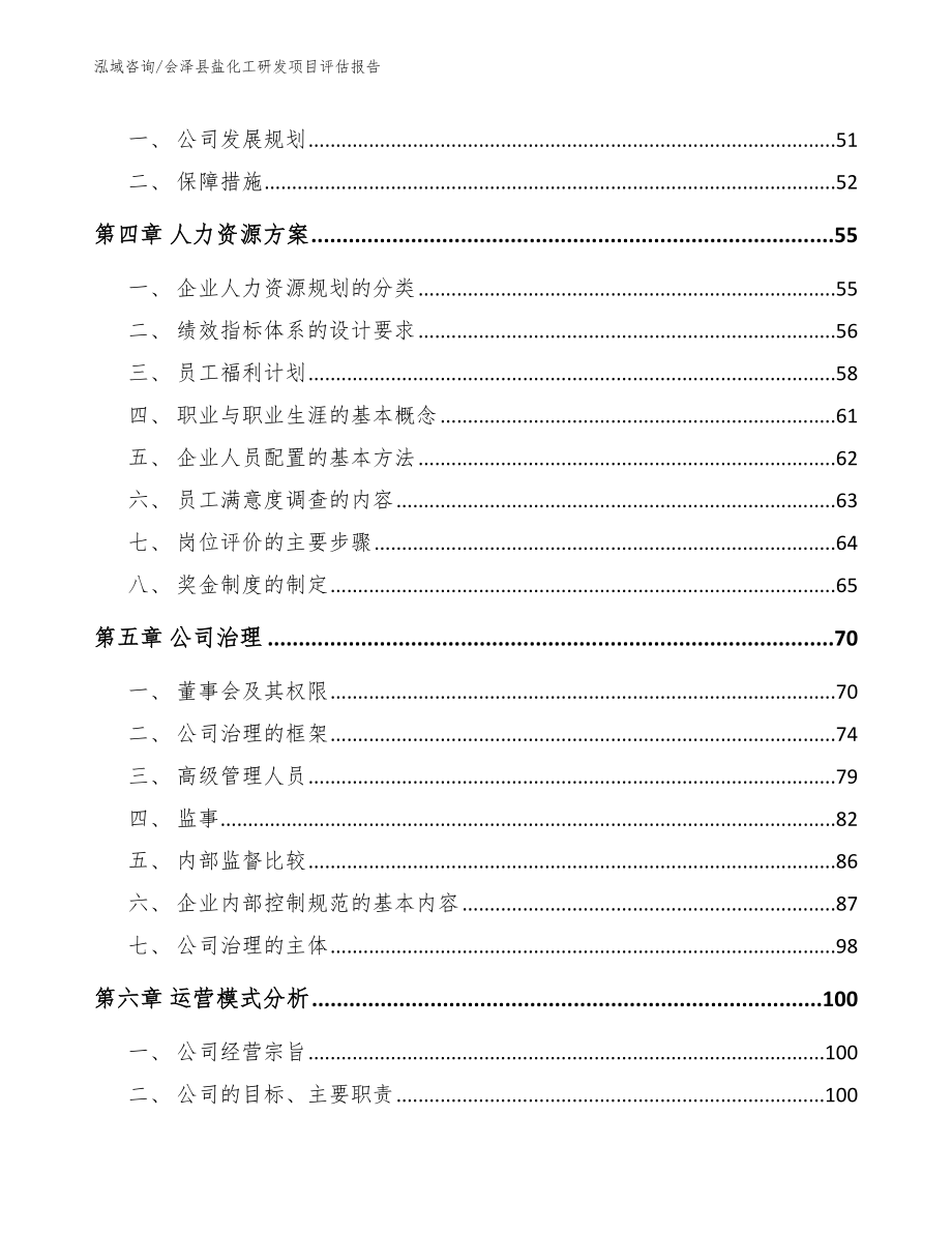 会泽县盐化工研发项目评估报告（模板参考）_第2页