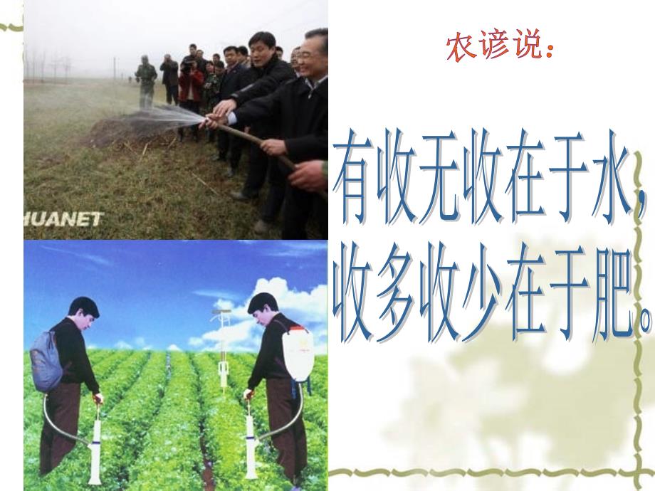 植物对水分和无机盐的吸收宋静_第1页