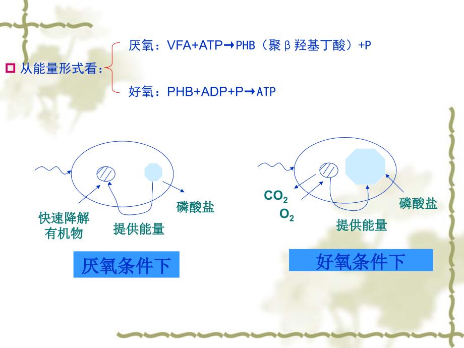 第7、8、9章 脱氮除磷_第4页