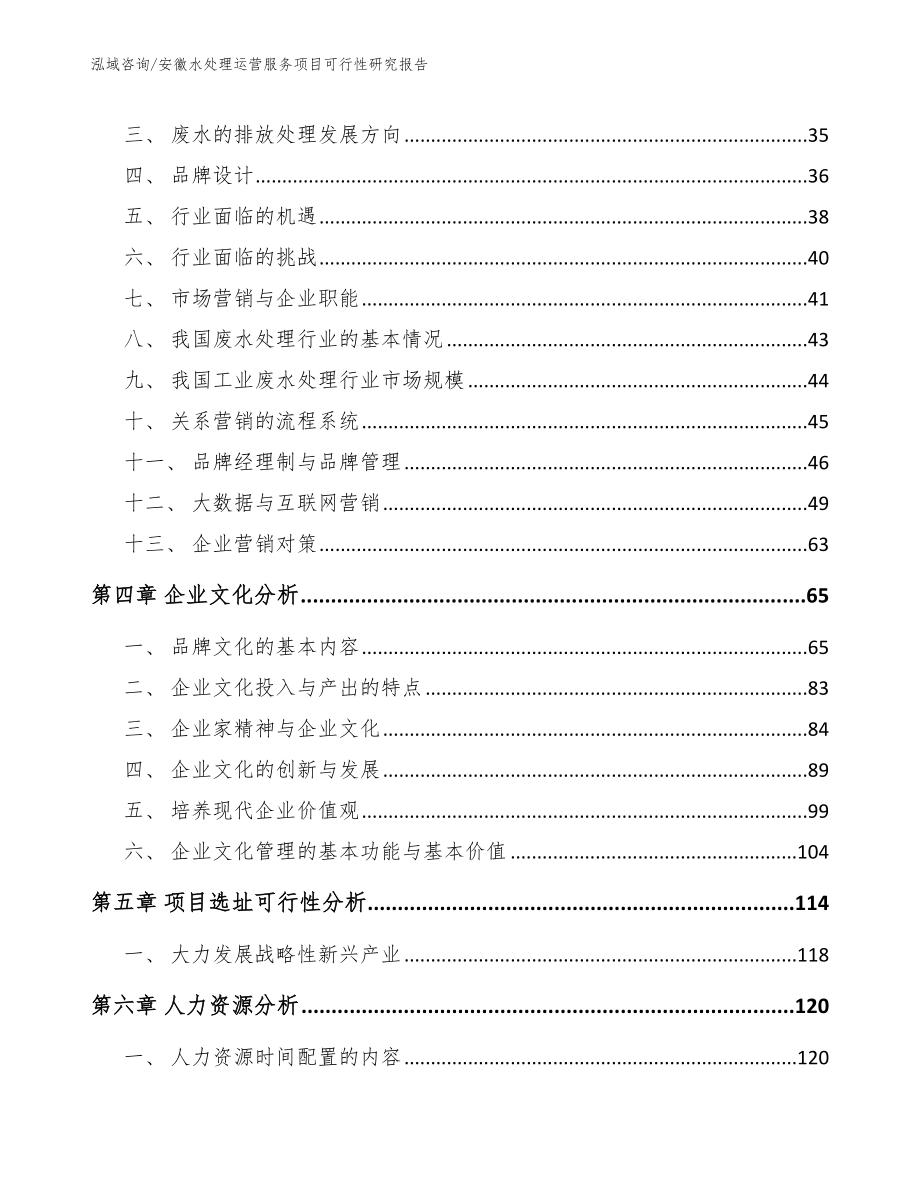 安徽水处理运营服务项目可行性研究报告_第2页