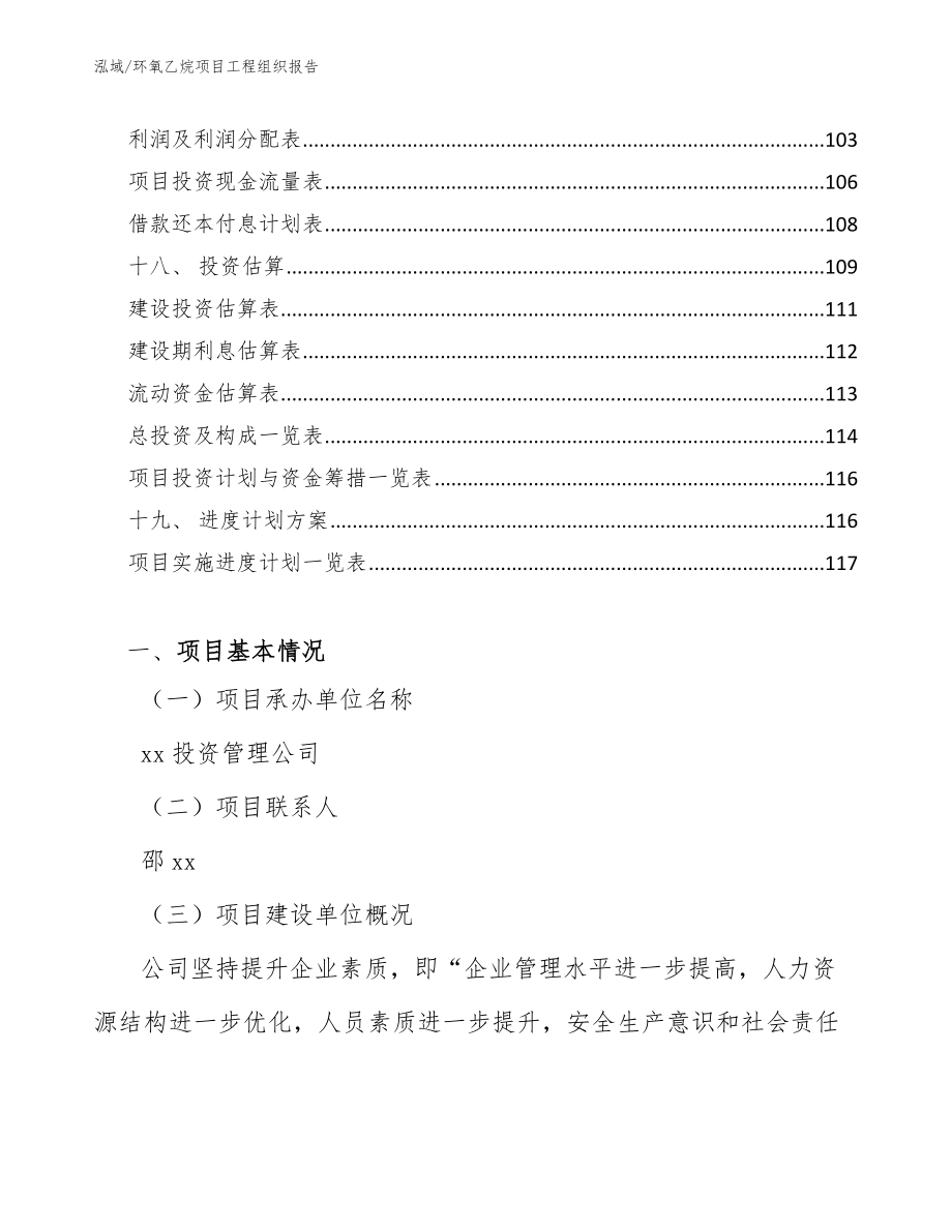 环氧乙烷项目工程组织报告_第2页