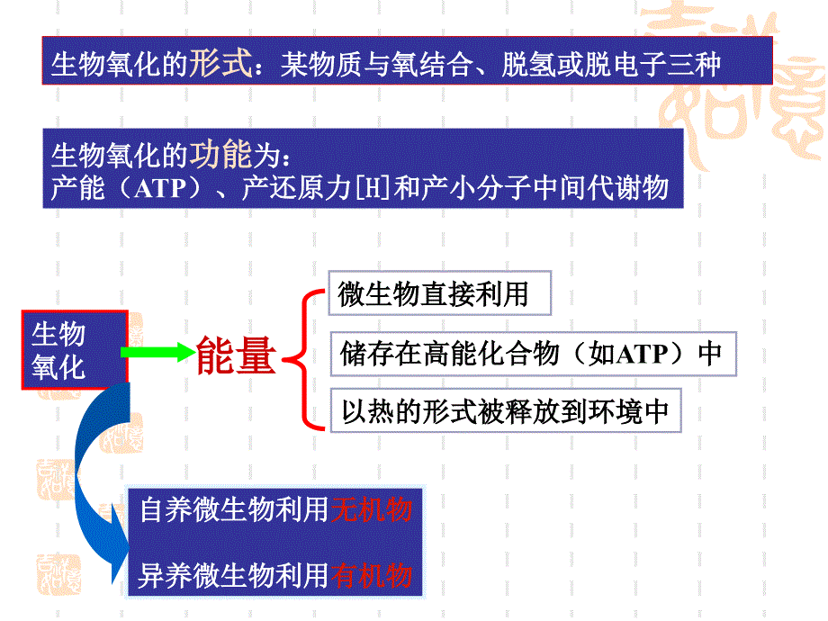 chap5微生物的新陈代谢_第4页