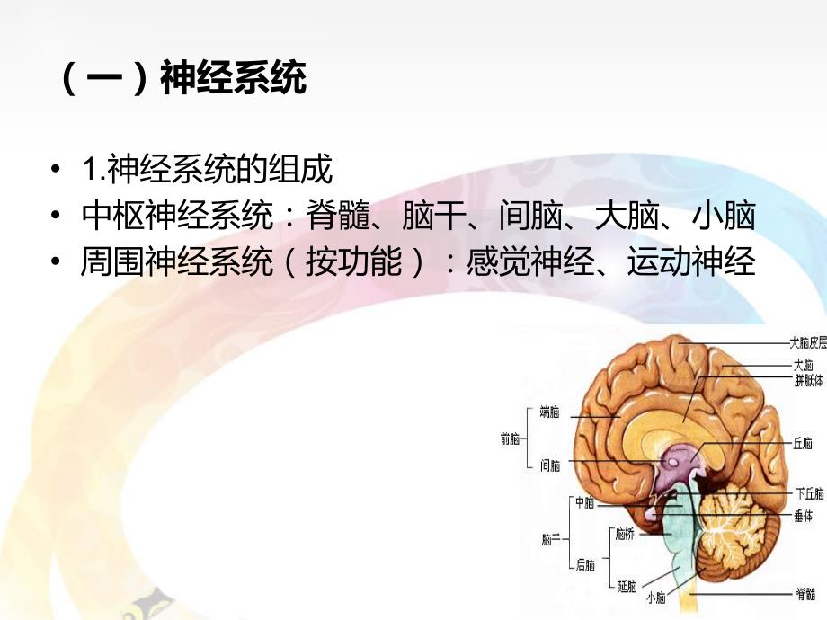 11动作训练在特殊教育中的应用201411－魏欣_第3页