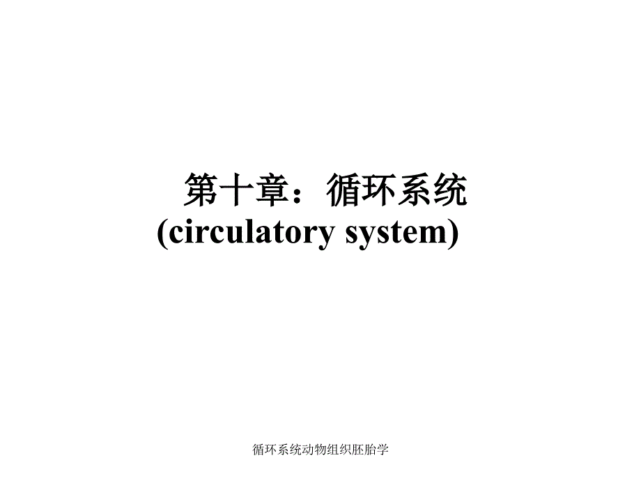 循环系统动物组织胚胎学课件_第1页