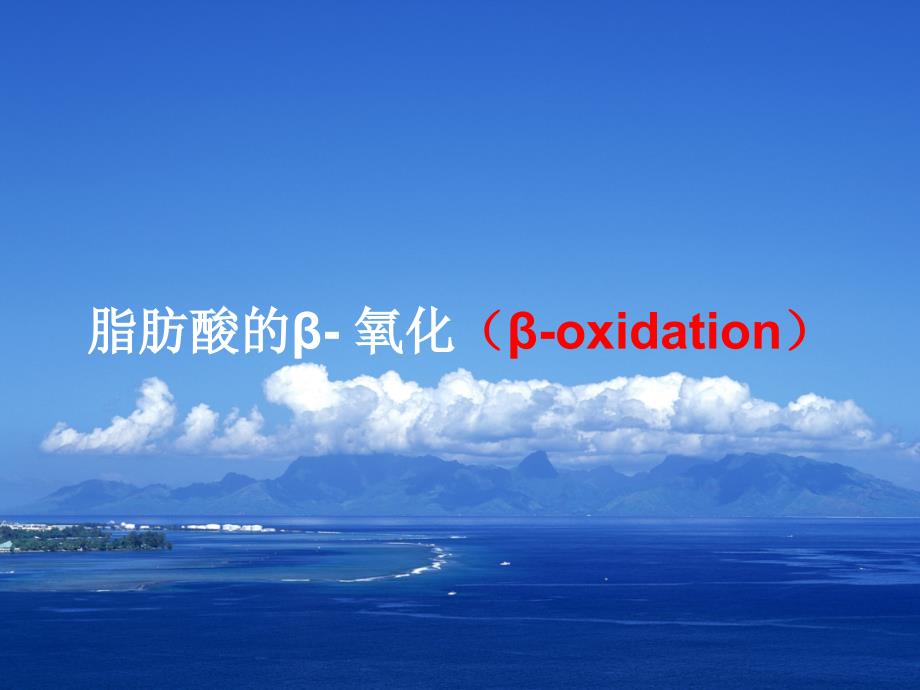 脂肪酸的氧化_第1页