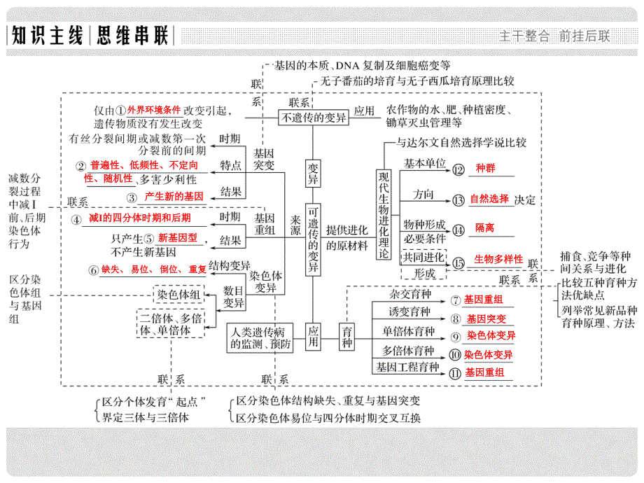 高考生物二轮复习 第四单元 遗传变异与进化 专题三 生物的变异、育种与进化课件_第2页