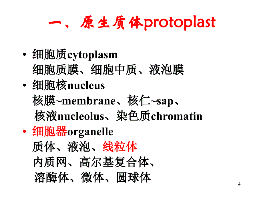 药用植物学：第一章 植物的细胞_第4页