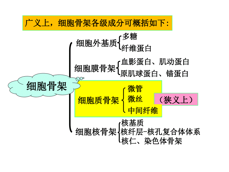 第八章细胞骨架_第3页