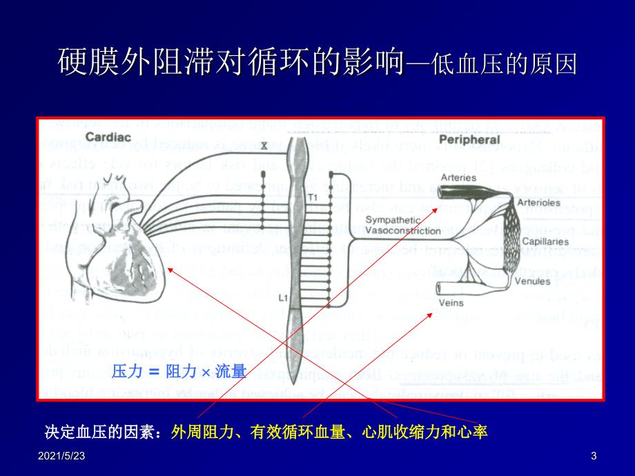 麻醉诱导期容量管理_第3页