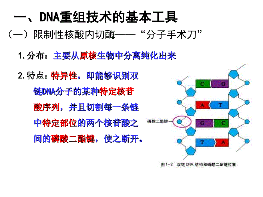 生物选修三总复习ppt课件_第2页