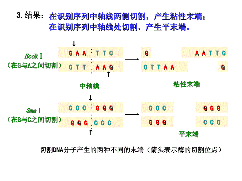 生物选修三总复习ppt课件_第3页