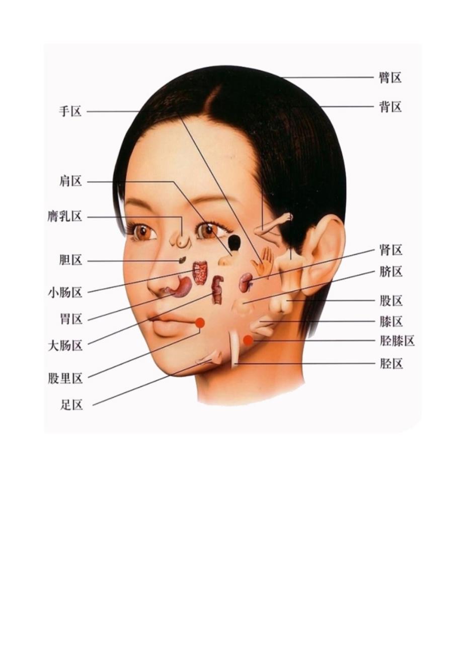 (转)看面相判断哪生病了.doc_第2页