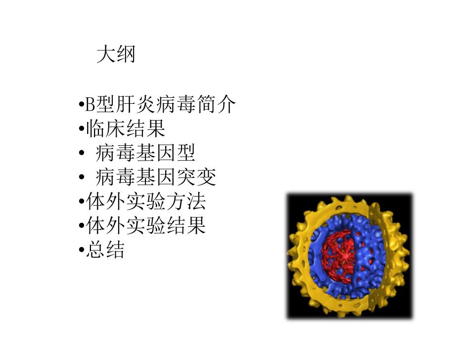 b型肝炎病毒基因突变遗失和造成肝病的相关性(ppt)_第2页