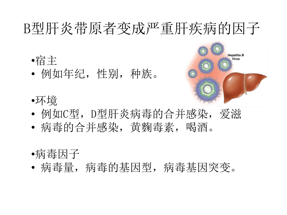 b型肝炎病毒基因突变遗失和造成肝病的相关性(ppt)_第3页