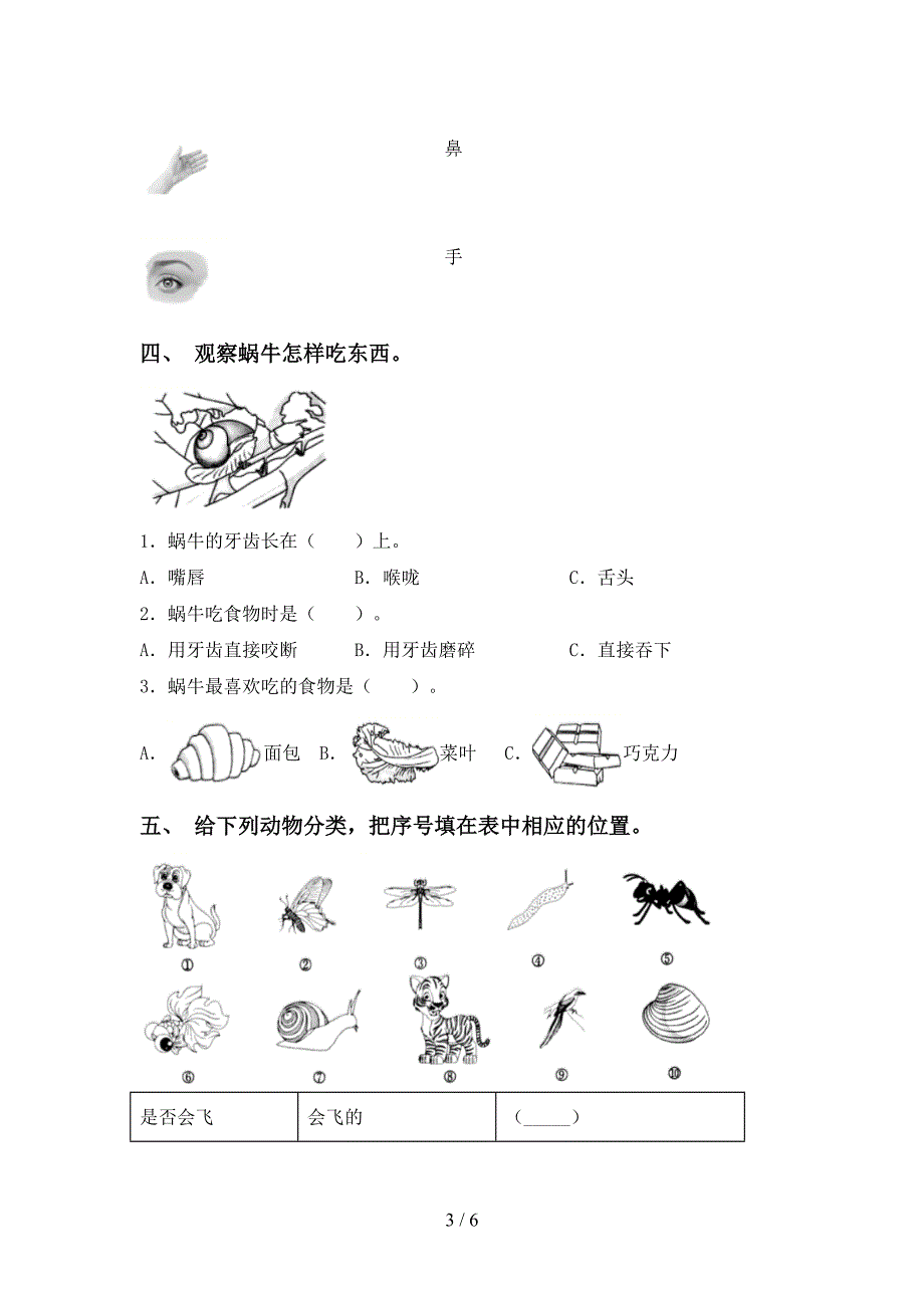 湘教版一年级科学(上册)期中试题及答案(A4版).doc_第3页