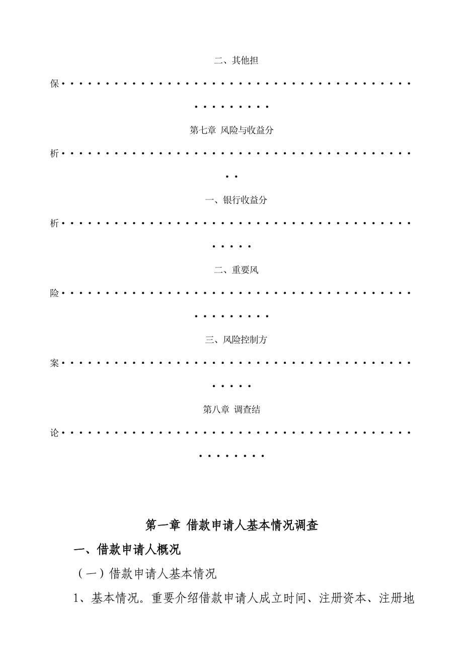 项目贷款调查报告模板_第5页