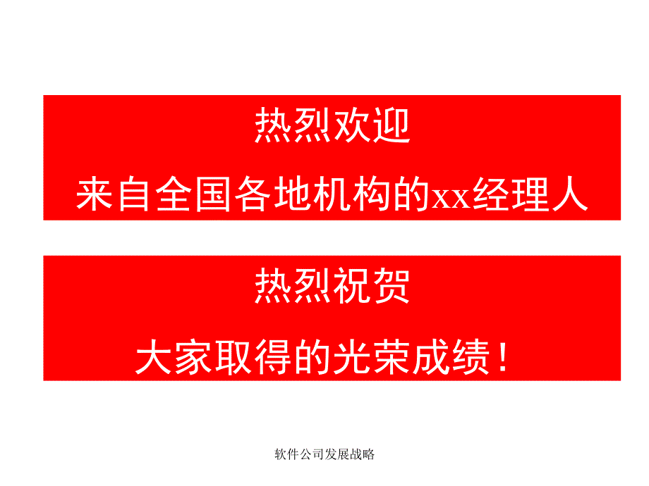 软件公司发展战略课件_第2页