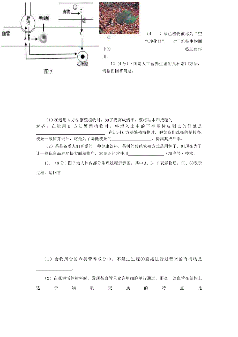 生物中考模拟试题 .doc_第3页