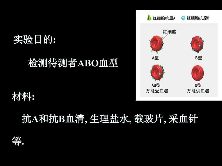 微生物实验课件：ELISA(酶联免疫吸附试验) (2)_第5页