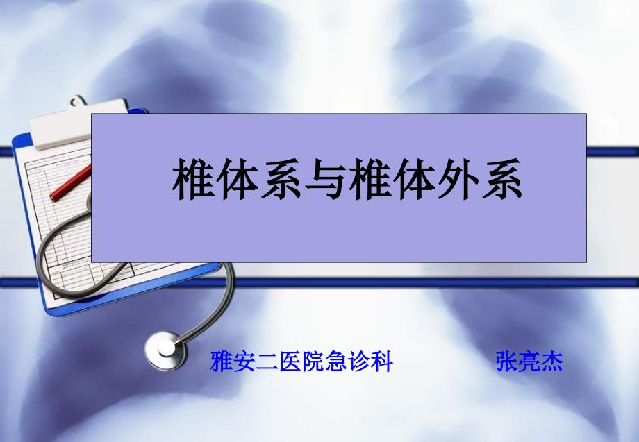 椎体系与椎体外系_第1页