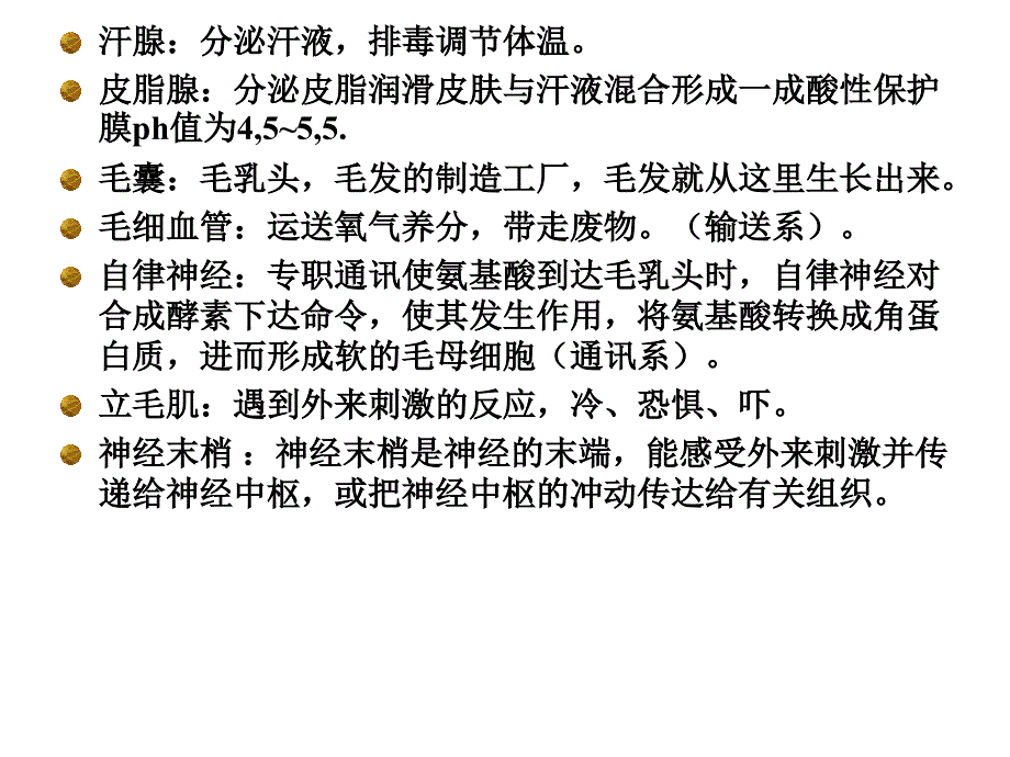 毛发生理学和基本-知识课件_第3页