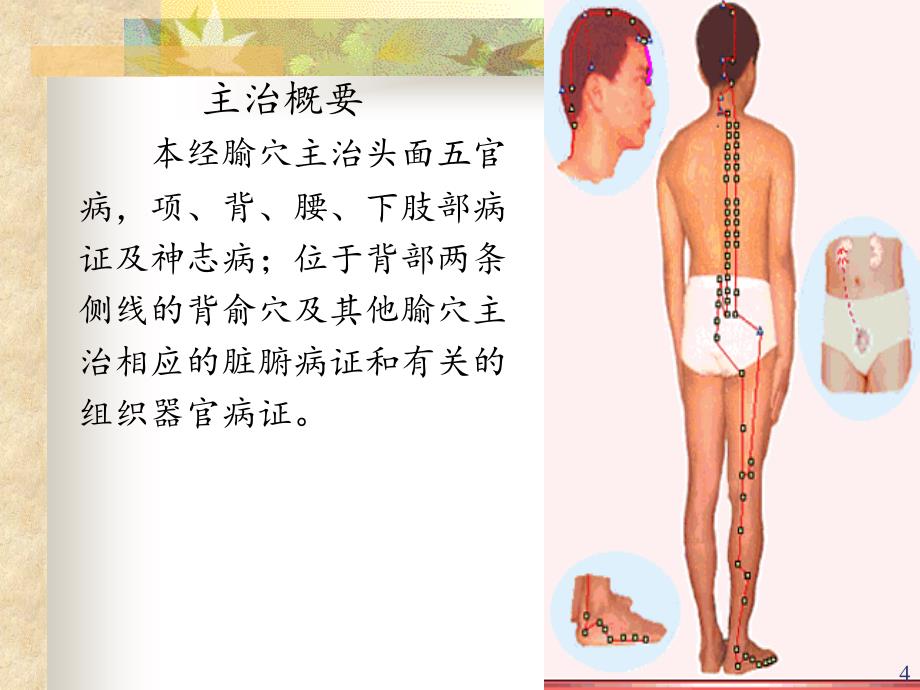 膀胱经腧穴文档资料_第4页