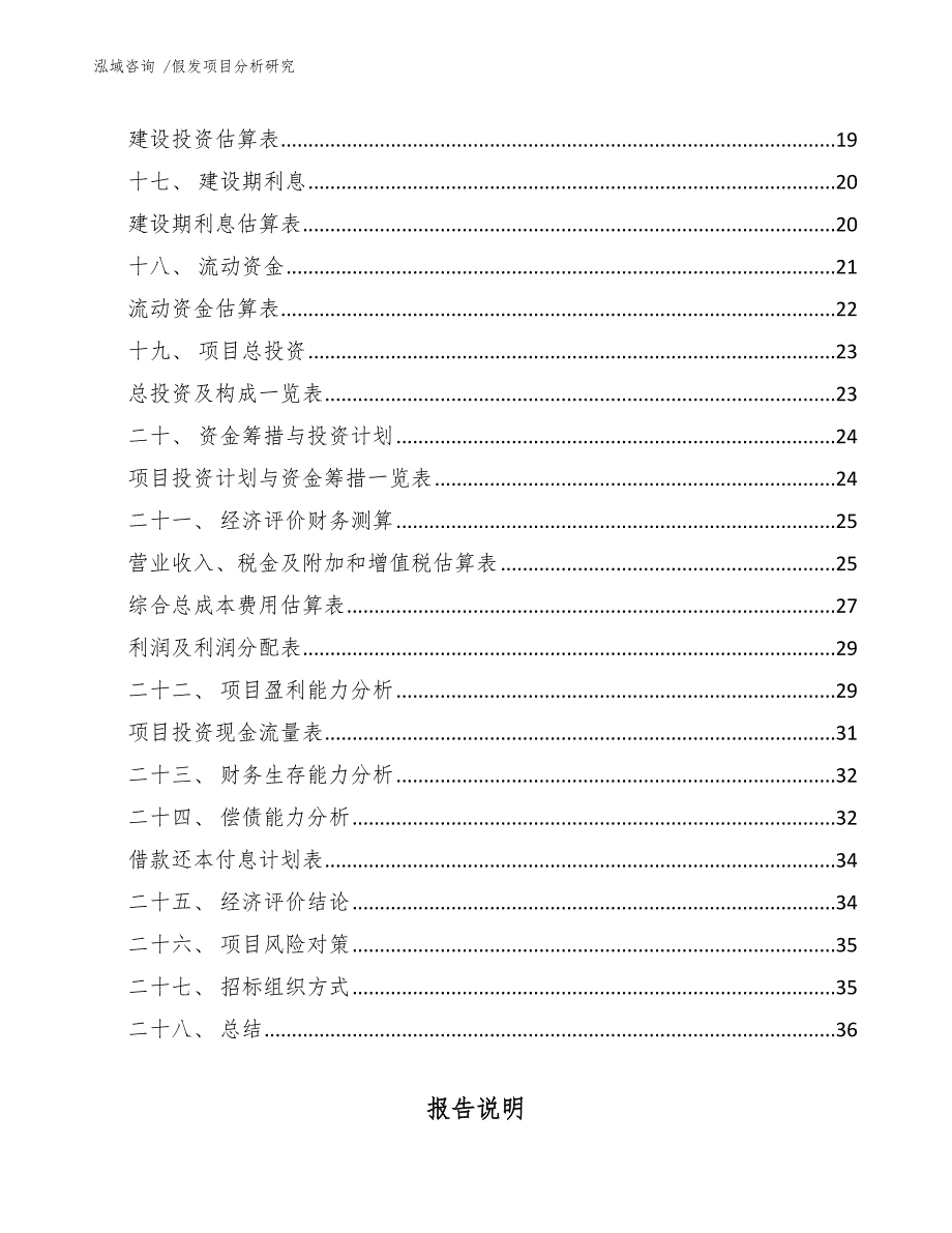 假发项目分析研究（参考模板）_第2页